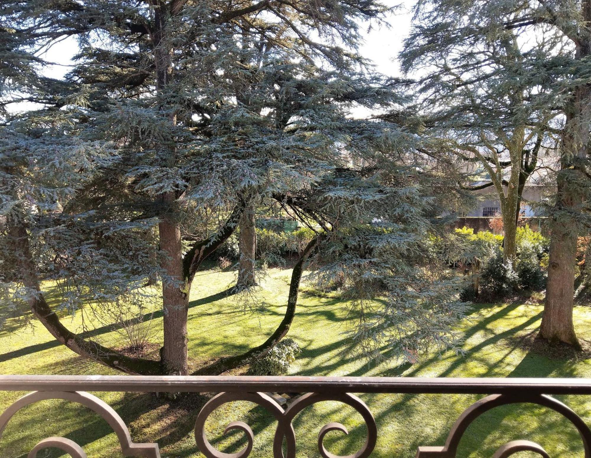 Maison D'Hotes Le Parc Labruguiere Room photo